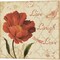 Live Laugh Love & Faith Family Friends by Lisa Audit 14" x 14" Canvas Wall Art (Set of 2)